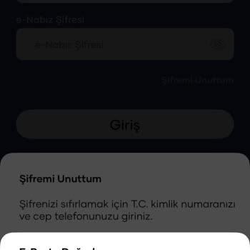 E-nabız'a Giriş Sorunu Haftalardır Çözülmüyor!