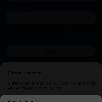 E-nabız'a Giriş Sorunu Haftalardır Çözülmüyor!