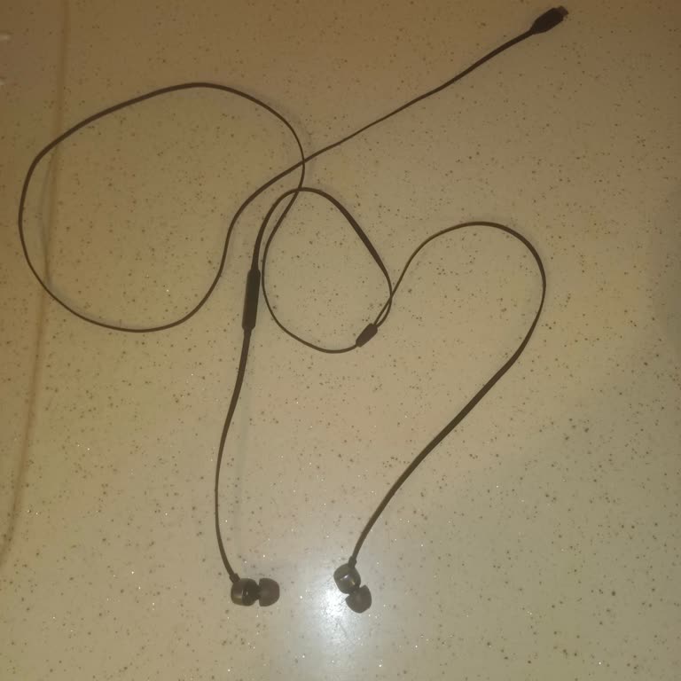 I Bought JBL Tune 310C and Right Side Stopped Working After Just One Year