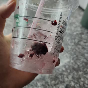 Berry Hibiscus İçeceği Buz Dolu Ve Özsüz Geldi Çalışanlar İlgisizdi
