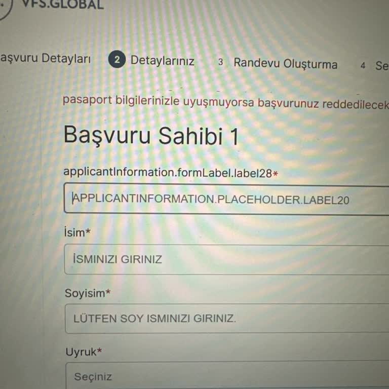 VFS Global Vize Başvuru Formunda Anlaşılmaz Alan Ve Sistemsel Sorun