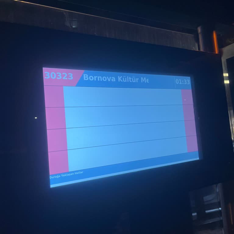 Baykuş Otobüsü Yine Yolda Bıraktı!