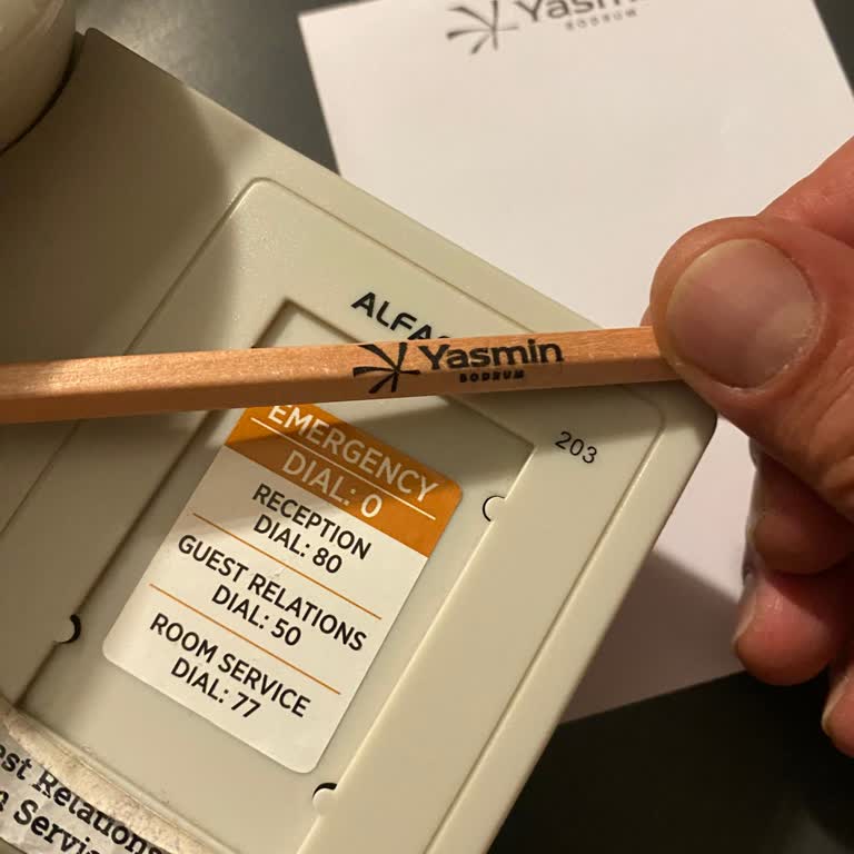 Uzak Oda Ve Buggy Sorunu Tatil Keyfini Bozdu