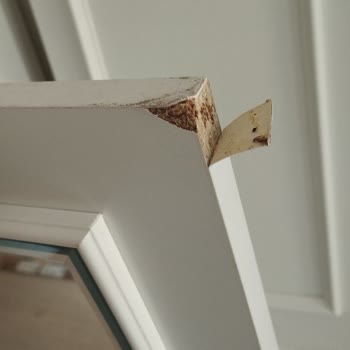 Hasarlı Ürün Teslimatı Sonrası Değişim Süreci Çok Yavaş İlerliyor