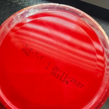 Küflü Ürün Ve Yetersiz Müşteri Hizmetleri Deneyimi