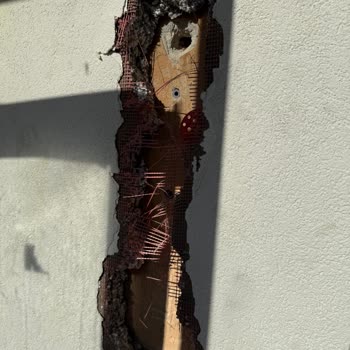 Baymak Servisinin Özensiz Çalışması Ve Yüksek Ücret Mağduriyeti