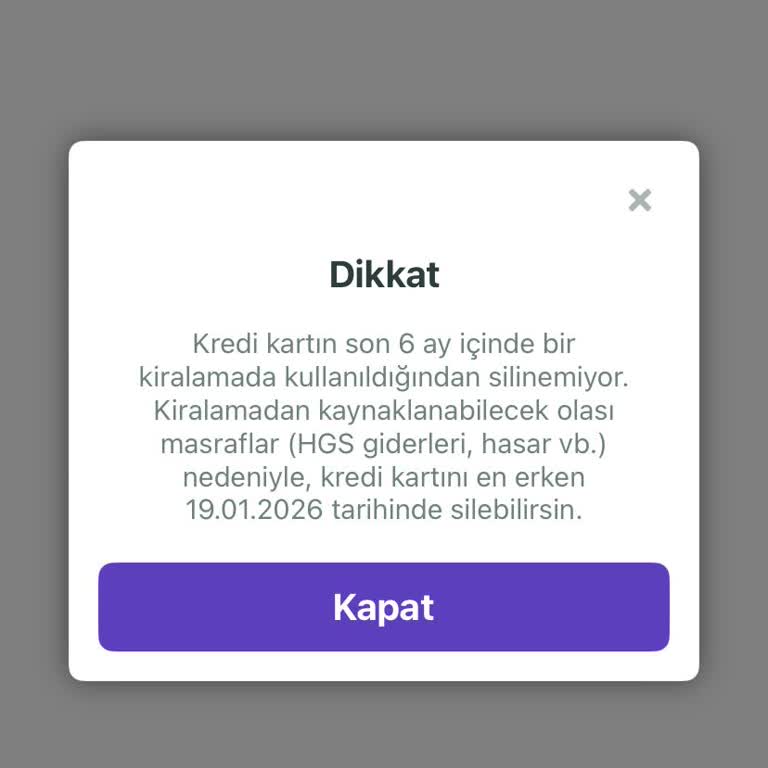 Kiralanan Aracın Temizlik, Güvenlik Ve İptal Sürecinde Yaşanan Sorunlar