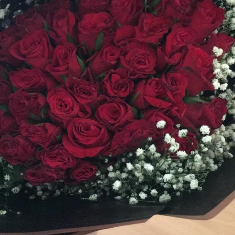 Sivas Çiçek Center Mağduriyeti