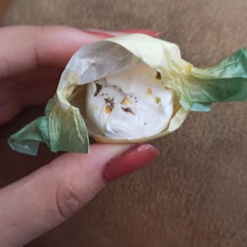 Aldığım Şekerin İçinden Kurt Çıkması Ve İlgisizlik Nedeniyle Mağduriyet