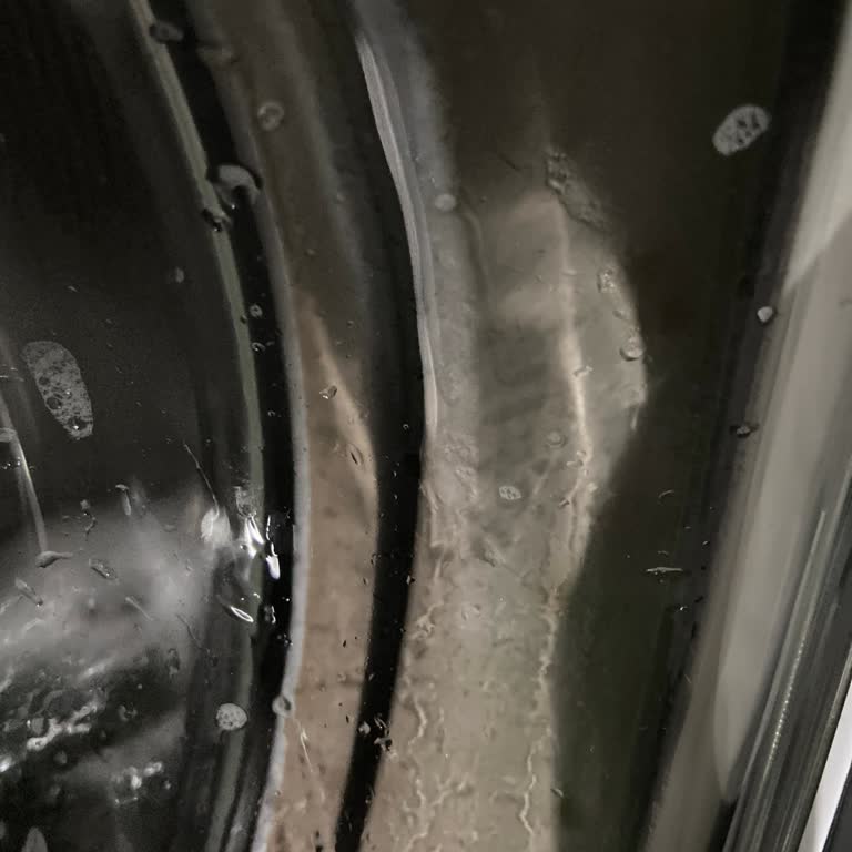 Çamaşır Makinemin Lastiği Kirli Ve Eski Olarak Değiştirildi