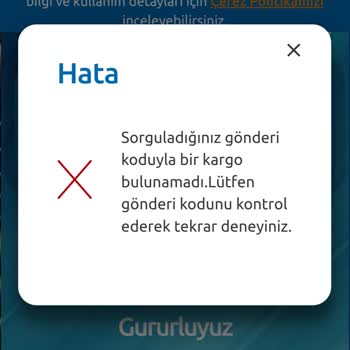 Trendyol Vinner Lambader Siparişim Kayıp Satıcı İlgisiz Ve Takip Numarası Geçersiz