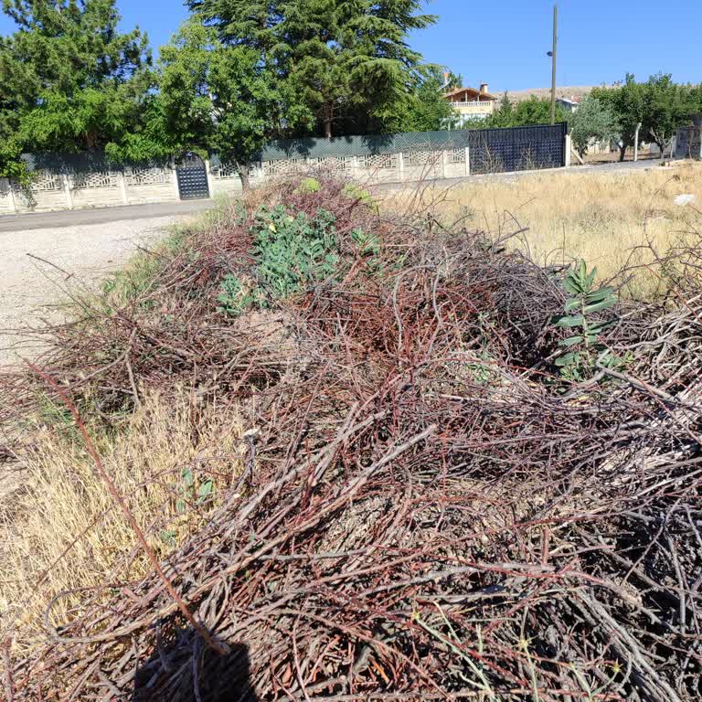 İki Yıldır Alınmayan Bitkisel Atıklar Yangın Tehlikesi Yaratıyor