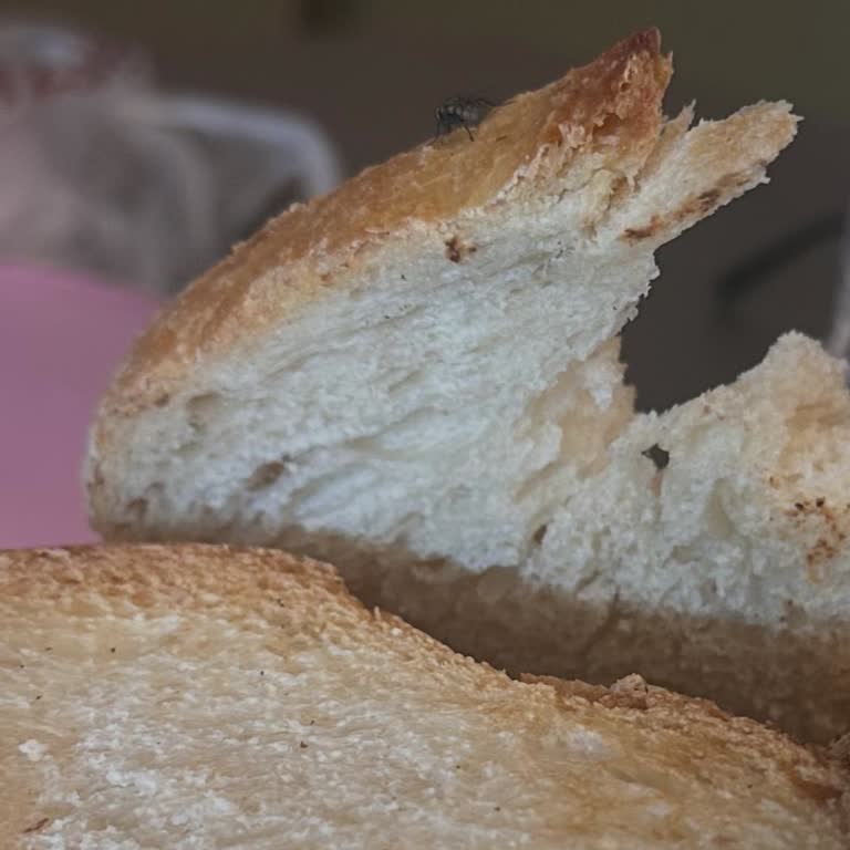 Köfteci Yusuf'ta Müşteri Memnuniyetsizliği Ve Hijyen Sorunu