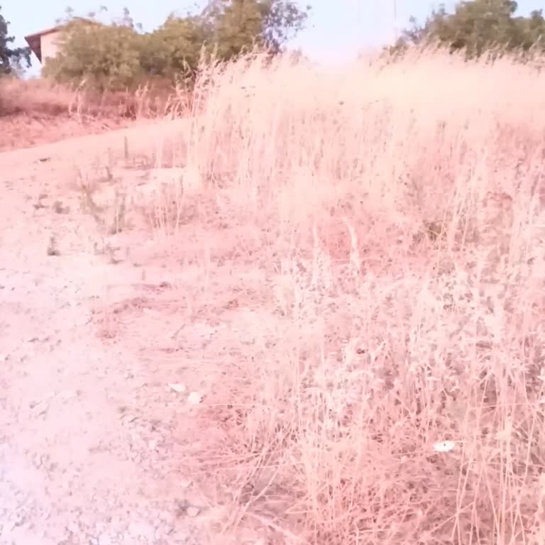 Bir Yıldır Çözülemeyen Sokak Lambası Sorunu Ve Yanıltıcı Bildirimler