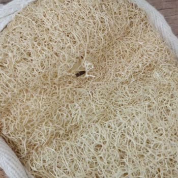 Aldığım Duş Kesesinden Böcek Çıktı, Hijyen Konusunda Hayal Kırıklığı Yaşadım