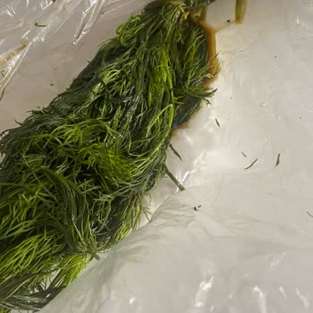 Migros Hemen'den Gelen Bozuk Ürün Ve Yetersiz İade Süreci