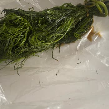 Migros Hemen'den Gelen Bozuk Ürün Ve Yetersiz İade Süreci