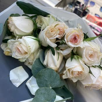 Soluk Ve Özensiz Çiçek, İlgisiz Müşteri Hizmeti