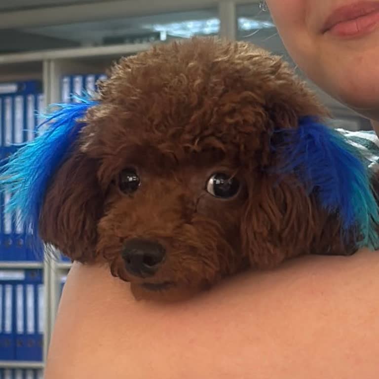 Yanlış Tedavi Sonucu Can Kaybı: Uyarıyoruz!