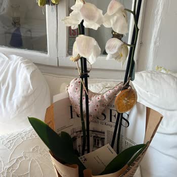 Solmuş Ve Zarar Görmüş Çiçek, Cevapsız Müşteri Hizmeti