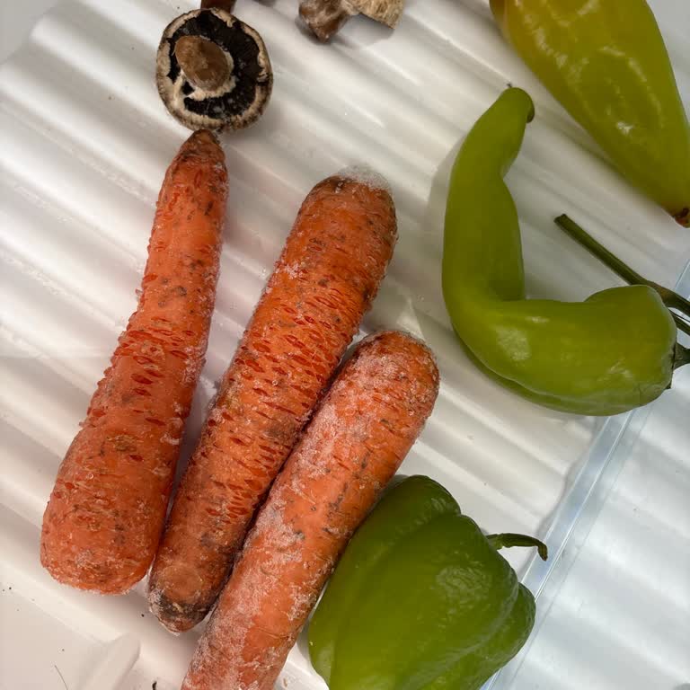 Bosch Garanti Kapsamında Buzdolabımın Sorunu Çözülmüyor!