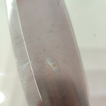 Tefal Bıçak Paslanıyor Kaliteli Marka Hayal Kırıklığı Yaşattı