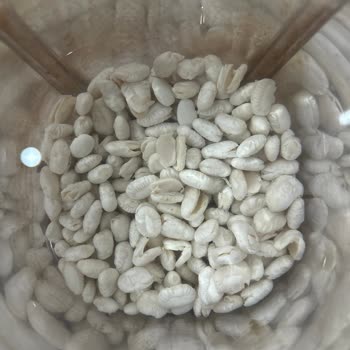 Ünlü Markadan Aldığım Fasulye Kusurlu Çıktı!