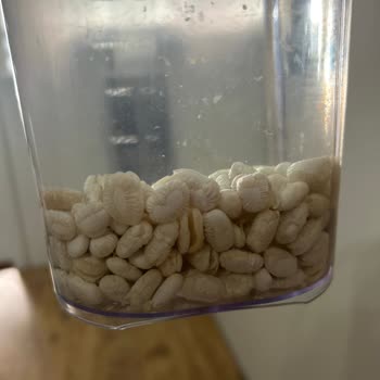 Ünlü Markadan Aldığım Fasulye Kusurlu Çıktı!