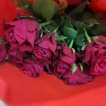 Gönderilen Çiçekler İlandakinden Farklı Ve Solmuş Geldi