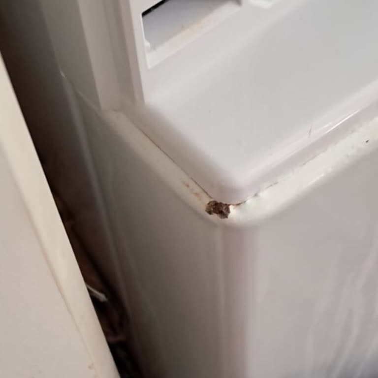 Beş Ayda Paslanan Makine Ve İlgisiz Servis