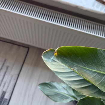 Geç Teslimat Ve Sorunlu Ürün Deneyimi