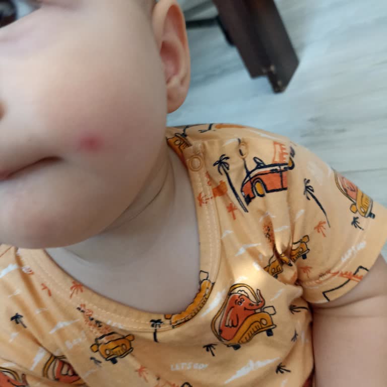 Sinek Kovucu Tamamen Etkisiz, Boşa Para Harcamayın