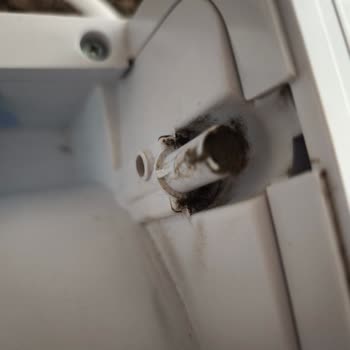 Kullanılmış Ürün Gönderimi Ve Yorum Onayında Sorun Yaşadım