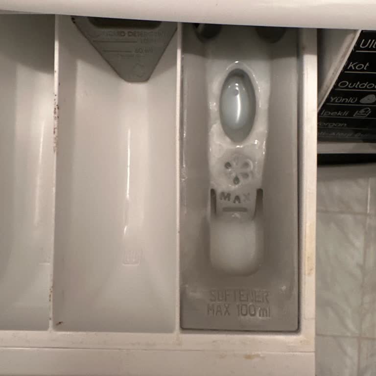 Electrolux Çamaşır Makinesi Hayal Kırıklığı: Temizlik Sorunu Ve Çözüm Eksikliği