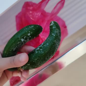 Vestel Buzdolabında Sürekli Buzlanma Ve Çözüm Eksikliği