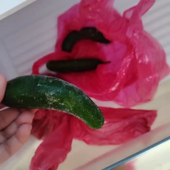 Vestel Buzdolabında Sürekli Buzlanma Ve Çözüm Eksikliği