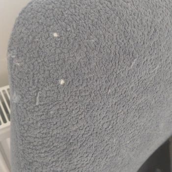 Kediye Uygun Denilen Koltuk 10 Günde Perişan Oldu, Satış Sonrası Hizmet Yok