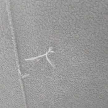 Kediye Uygun Denilen Koltuk 10 Günde Perişan Oldu, Satış Sonrası Hizmet Yok