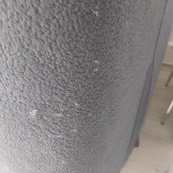 Kediye Uygun Denilen Koltuk 10 Günde Perişan Oldu, Satış Sonrası Hizmet Yok