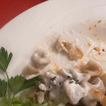 Otelin Sağlık İhmali Ve İlgisizliği Tatilimi Kabusa Çevirdi