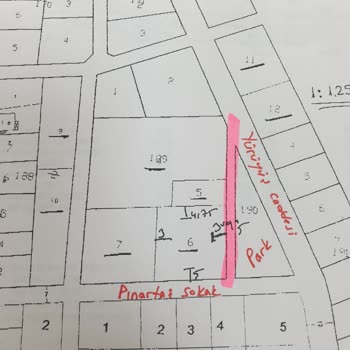 Park Alanı Eksikliği ve Araç Parkı Sorunu Hakkında Talep