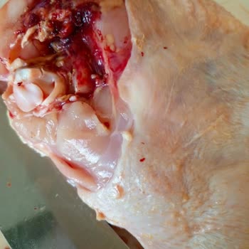 Taze Olmayan Tavuk Teslimatı Hayal Kırıklığı Yarattı