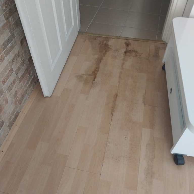 Eksperin Parke Zararı İçin Çözüm Sunmaması Mağduriyet Yarattı