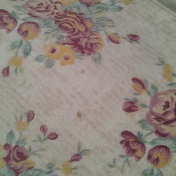 Halı Temizliğinde Yetersiz Sonuç Ve İlgisiz Açıklama