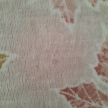 Halı Temizliğinde Yetersiz Sonuç Ve İlgisiz Açıklama