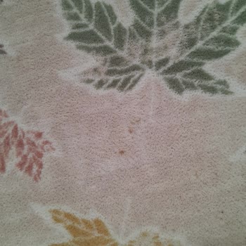 Halı Temizliğinde Yetersiz Sonuç Ve İlgisiz Açıklama