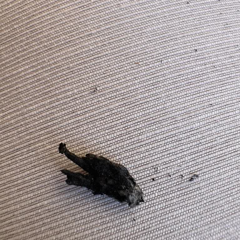 Sigaradan Sürekli Odun Parçası Çıkıyor, Kalite Düşüyor!