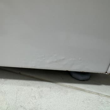 Bosch Çamaşır Makinesinde Paslanma Sorunu Ve Garanti Mağduriyeti