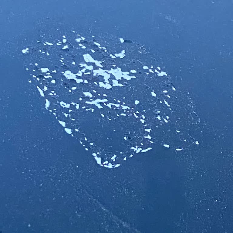 Opel Mokka Aracımın Tavanında Soyulma Ve Yetersiz Müşteri Hizmetleri