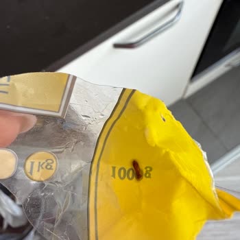 Sipariş Ettiğim Pirincin İçinden Kurt Çıktı